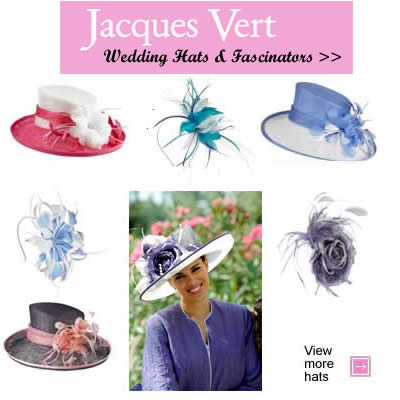 Hats Wearwedding on Jacques Vert Wedding Hats In Pink And Blue