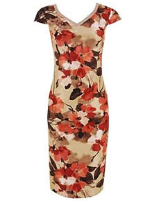 jacques vert shift dress